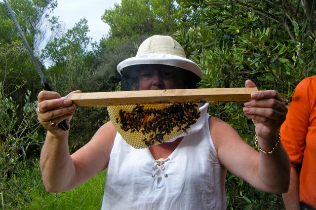 Natural Beekeeping In Nz Home